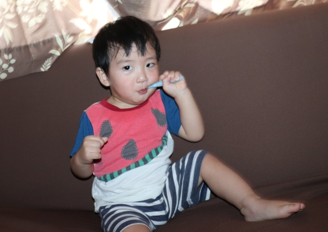 IMG_0637kai.JPG