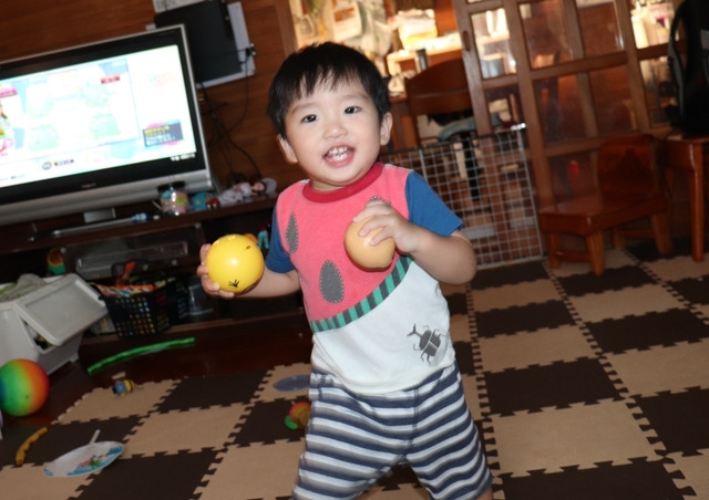 IMG_0690kai.JPG