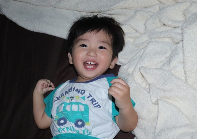 IMG_2356kai.JPG
