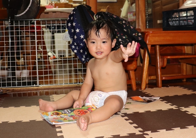 IMG_3116kai.JPG