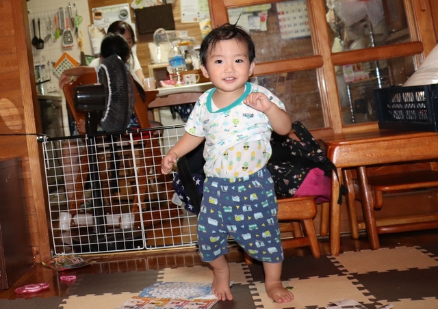 IMG_3120kai.JPG