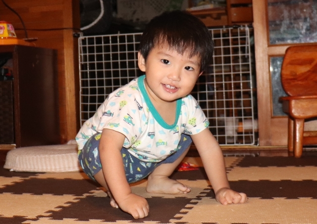 IMG_3494kai.JPG