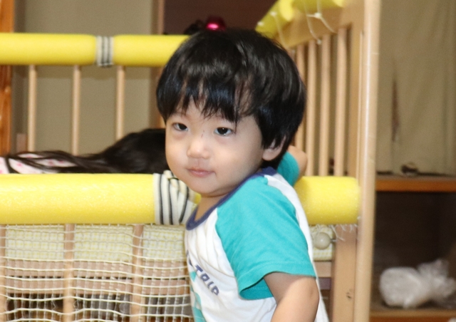 IMG_3666kai.JPG