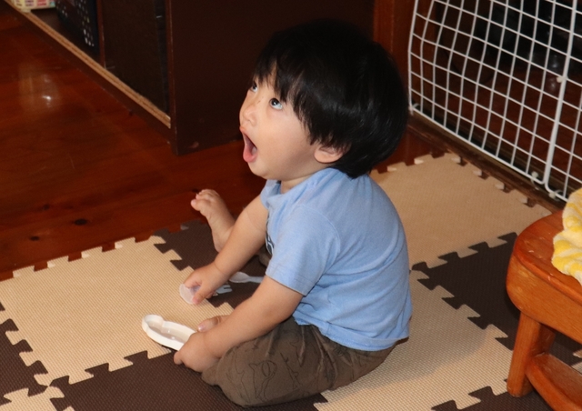 IMG_3691kai.JPG