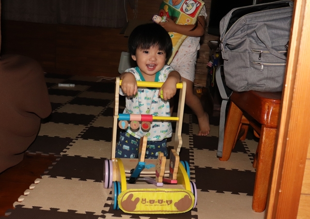 IMG_4867kai.JPG