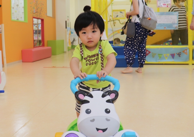IMG_4966kai.JPG