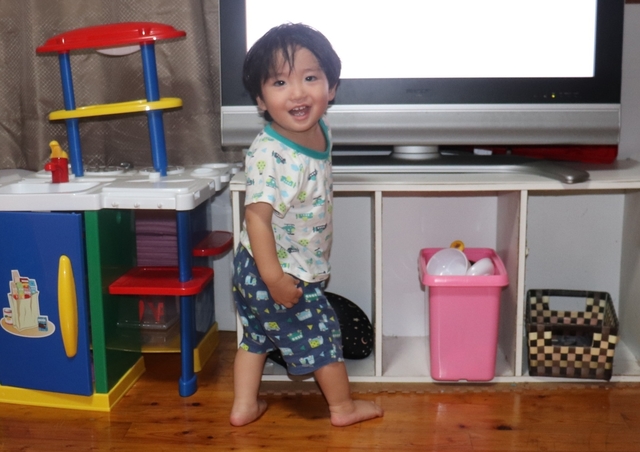 IMG_7308kai.JPG